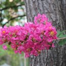 상월초등학교 이미지