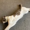 히피커피(Hee:P)