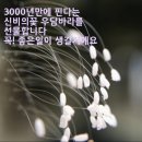 자굴산황토민박 이미지