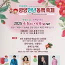 광양동백축제추진위원회 이미지