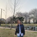 THE FIT | [The fit] 하이웨이스트 팬츠 그레이 사이즈 미스 후기ㅜㅜ &amp; 코디 (feat. 메종키츠네셔츠)