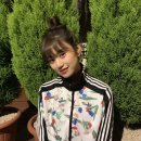 다도연