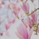 강동오륜방문요양센터 이미지