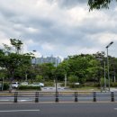 동춘당공원 맞은편 이미지