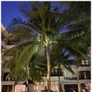 기동반-43 이미지