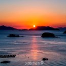 산양일주도로가로수 | "달을 구경하기 좋은 곳이라 붙여진 이름" 황금빛으로 물들어 최고의 일몰 명소라는 여행지