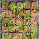 미암초등학교 이미지