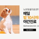 뉴본동물의료센터 이미지