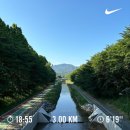 ✔️양재시민의숲 근처 자주가는 카페 &lt;에크하우스&gt; 솔직후기 / 주차가능, 애견동반, 아람청과
