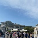 깡순이신쭈꾸미 | 청와대개방/청와대가는길/경복궁역맛집/깡순이신쭈꾸미/임영웅콘서트예매후기) 엄마와 함께한 6...
