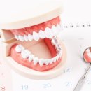 피카소 치과의원 이미지