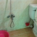 코스모스 민박 이미지