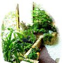 늘푸른정원 이미지