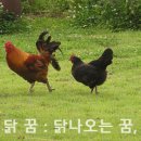 비서재준
