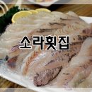 원조소라횟집 이미지