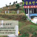 월드장묘개발