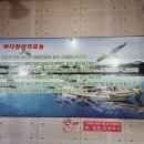 불타는아나고 이미지