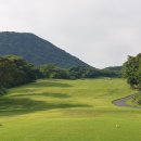 그린필드 이미지