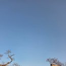 부산클래식음악제2 | 통영국제음악제 2026 일정 총정리, 통영국제음악당 후기