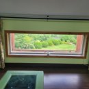 행복한숲 Happy forest 이미지