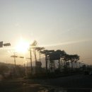 옛날토굴새우젓 이미지