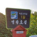 속초사잇길 제1길 이미지