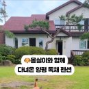 산푸른펜션 | [양평/ 푸른정원펜션] 잔디밭이 펼쳐지는 강아지 동반 가능 2층 독채펜션 솔직후기 #내돈내산