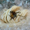 [분당/야탑]수타우동 겐, 분당 3대 우동 맛집 추천! 메뉴 및 주차 정보