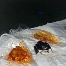 한일교통(주) 이미지