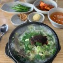 고산골 공룡공원 벽 이미지