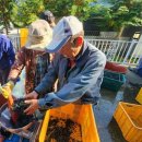 충도3리(상양) 이미지