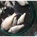 검은솔밭낚시터 이미지