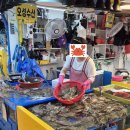 오성꽃게1