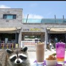 카페 아이니 이미지