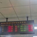 착한돼지춘천명동점 | [춘천당일치기]여행코스 추천 1편 명동닭갈비 스카이워크 등^^