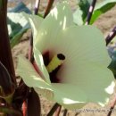 하이농장 이미지