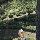 보성백록다원 | 보성 녹차 축제 - 찻잎따기 체험 꿀팁, 경품🎁, 차만들기 체험 (5월 1일 기준 최신)