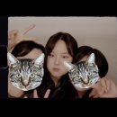 유림목욕탕，헬스 | [8월 인생정산] Happy birthday to me 🎂