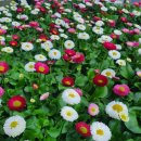 선유중학교 내 이미지