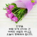 행복한하루 이미지