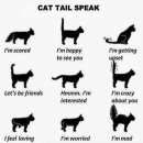 우리집앞동물병원 이미지