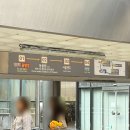 공작어린이공원 | 서울대공원 동물원 리프트 안타고 코끼리열차만 이용한 후기