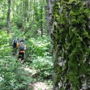 연석산&숲 이미지