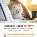 키즈캠퍼 이미지