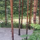 물내치기 이미지