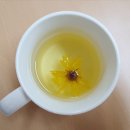 한밭마을 이미지