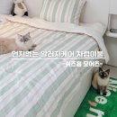 고양이집사 | 먼지없는 쉬즈홈 모어즈 알러지케어 차렵이불 고양이집사 후기