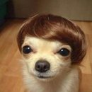 편안한 동물병원 이미지