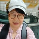 무궁화미용실 Daum카페