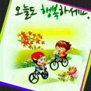 요기내 이미지